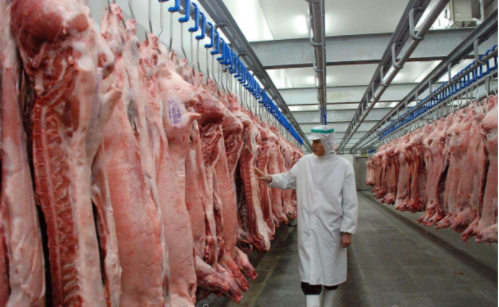 800平米禽肉冷庫(kù)