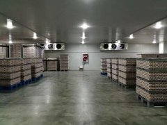 3000噸食品冷藏庫安裝造價是多少？