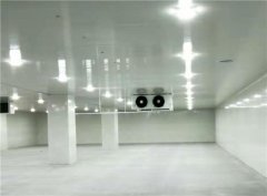 建個(gè)一萬(wàn)平出租型冷庫(kù)大概需要投資多少錢(qián)？