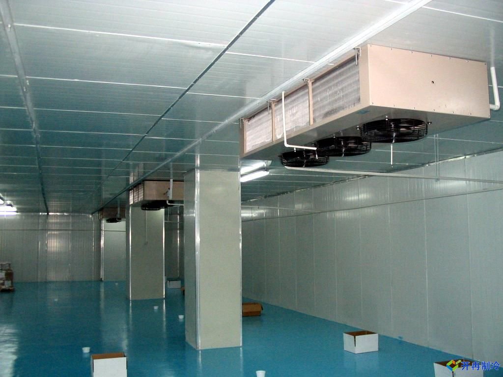 設計一個700噸冷凍庫造價多少錢？冷藏庫設備造價