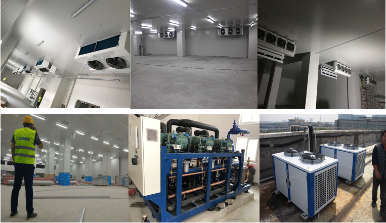 http://m.rhxq3kti.cn/gongchenganli/shipin/1230.html