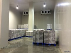 1000噸低溫冷庫安裝流程、設備、造價